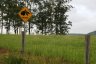 L'Australie vue par ses panneaux routiers