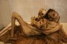 Deux momies vues au musée universitaire