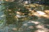 Kbal Spean "la rivière aux milles lingas" est composé de sculptures creusées dans la roche du lit de la rivière sur une longueur de 200 mètres.