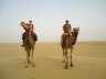 Petite balade à dos de chameau dans le parc national du grand désert du Thar.