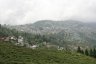 Vue sur la ville de Darjeeling depuis les plantations.