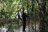 Passage d'un cours d'eau dans la jungle grâce à un pont de singe fabriqué par nos guides avec des lianes.
