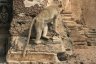 Il s'agit d'une espèce de macaques. Ce temple est réputé pour être leur lieu de prédilection, ils attirent beaucoup de touristes.