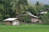 Le village montagnard de Pom Coong comporte des maisons thaï sur pilotis.