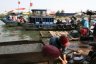 Ambiance assez tendue au marché aux poissons, tous les Vietnamiens se disputaient entre eux!